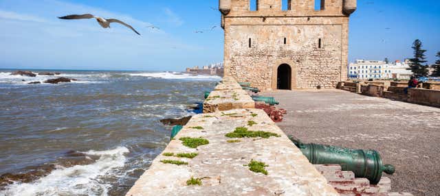 Excursión a Esauira