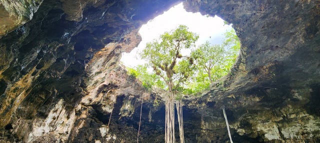 Excursión a los cenotes de Homún